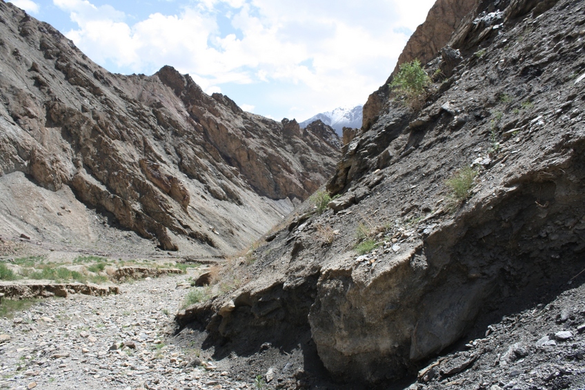 The View to the East, into the Hindu Kush Range