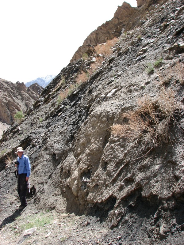 General View to the East, showing the steepness of the slope up to the confluence