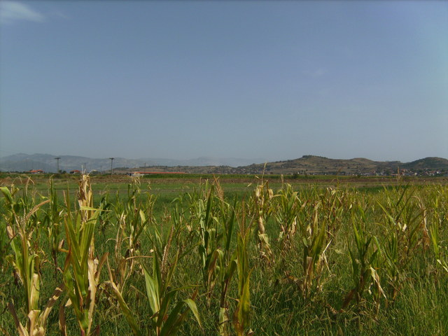 Blick nach Norden - View north