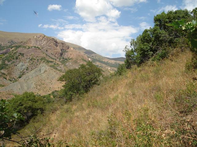 the confluence 60 from meters distance