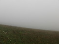 #2: Northward foggy