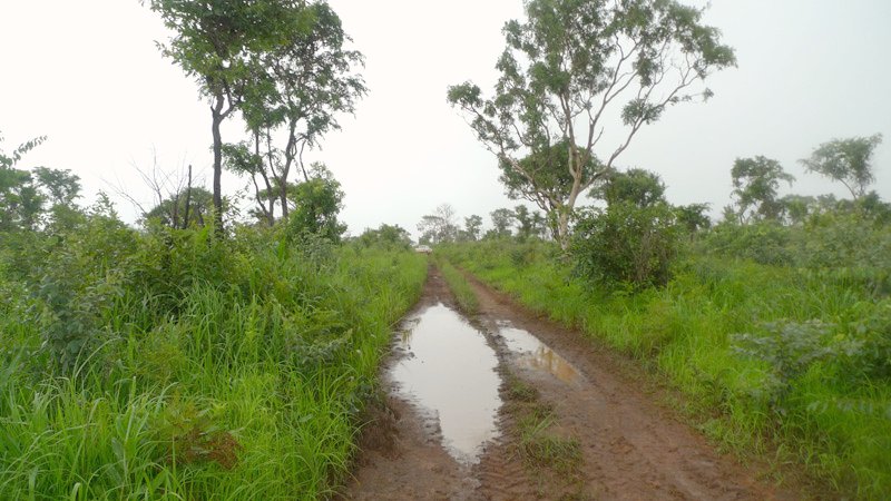 Approaching road