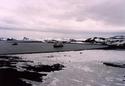 #4: North and east part of Port Foster. Whalers Bay in the foreground