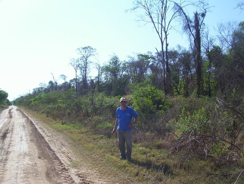 Monte autóctono / bushes