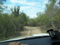 #8: Entrando la chata al monte a 1000m de la Confluencia. Getting into the field at 1000mt from CP