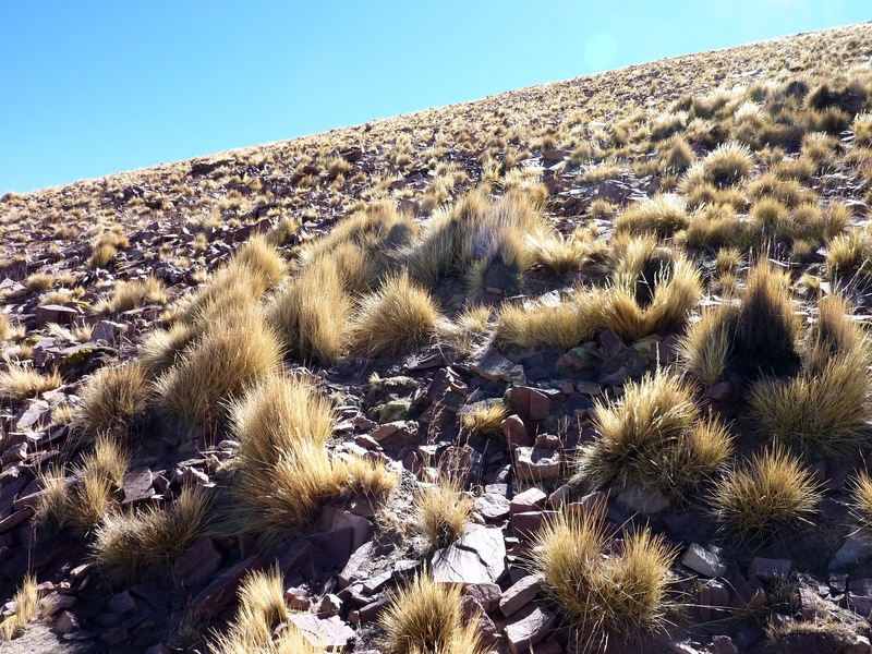 #3: View from the confluence to the north