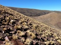 #4: #4: View from the confluence towards the east