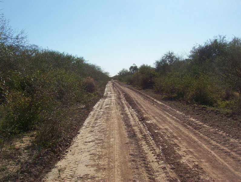 Camino a 2000m de la confluencia. Road at 2000 m from CP