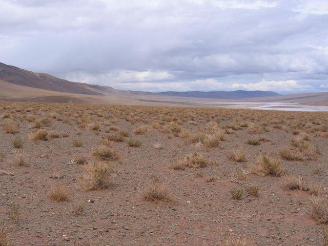 Looking South (the road).