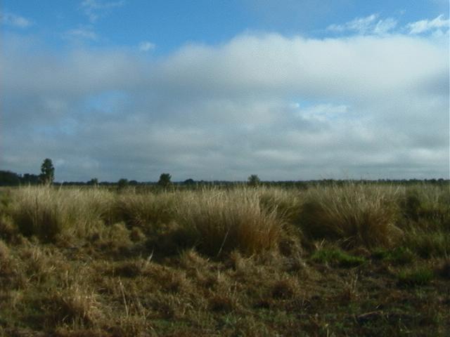 Vista hacia el Norte