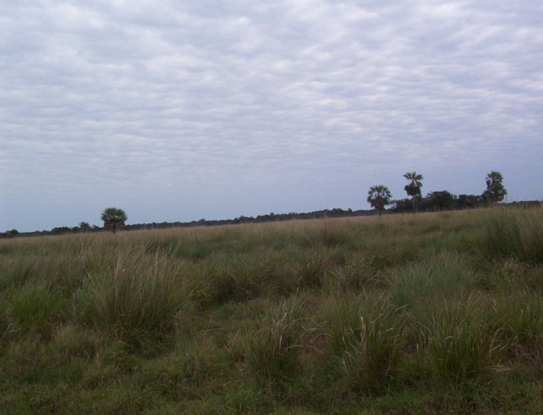 Vista norte. North view