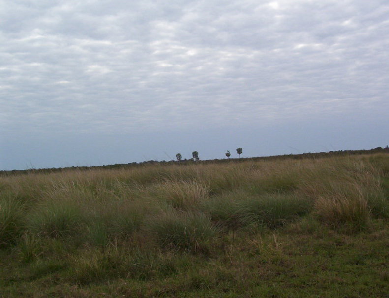 Vista Este. East view