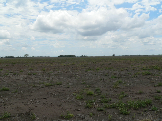 Vista norte de la confluencia