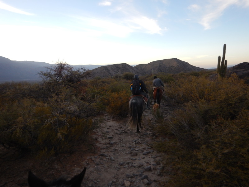 Regresando casi al anochecer - Returning almost at dusk