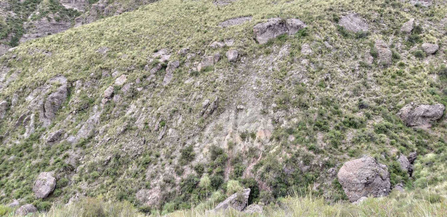 Zona del área de confluencia. Confluence zone 