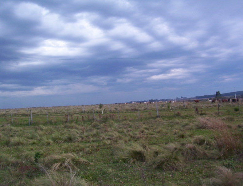 Vista Oeste. West view