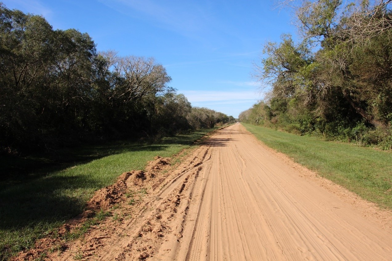 Camino - Road