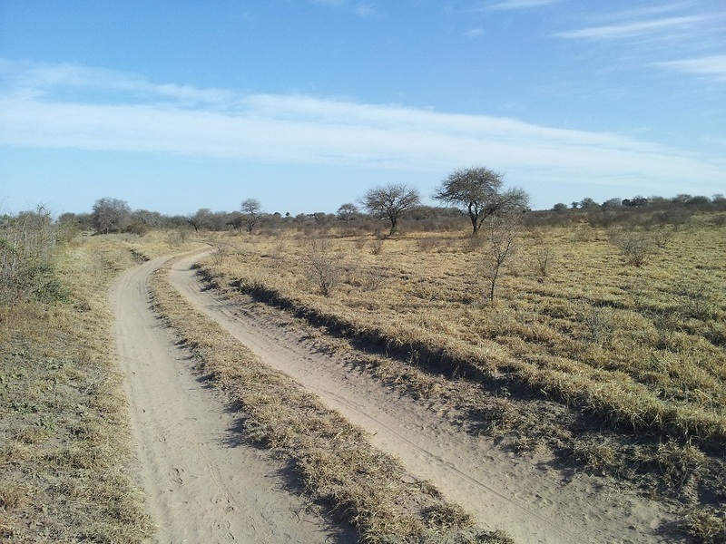 Vista hacia el Norte - View to the North