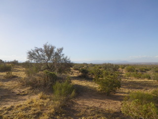 #1: Vista hacia el Norte - View to the North