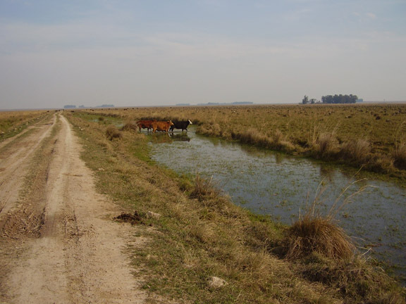 Camino a la estancia