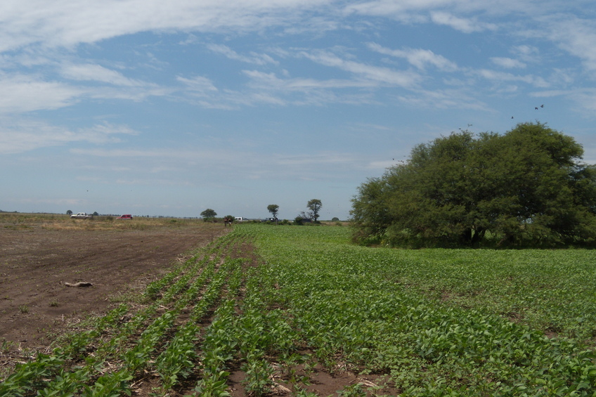 Vista hacia el sur - View to the south