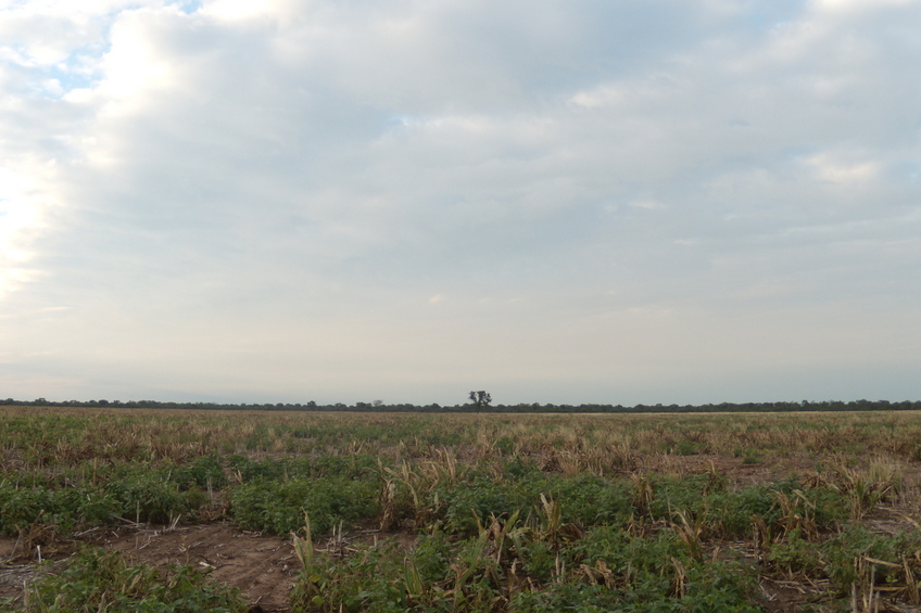 Vista hacia el norte - View to the north