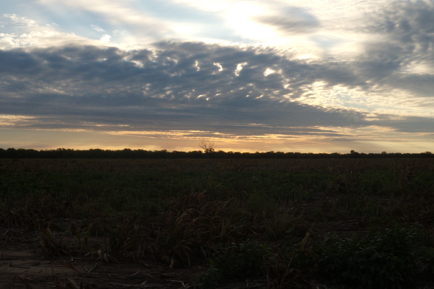 Vista hacia el oeste - View to the west