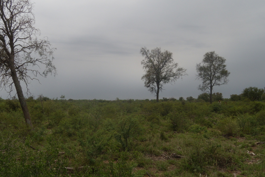 Vista hacia el norte - View to the north