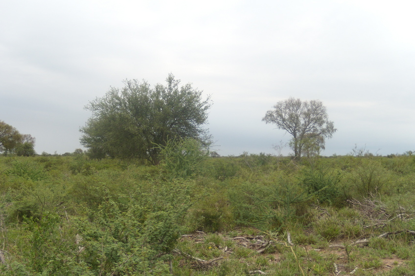 Vista hacia el oeste - View to the west