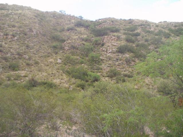 Montaña donde esta la confluencia