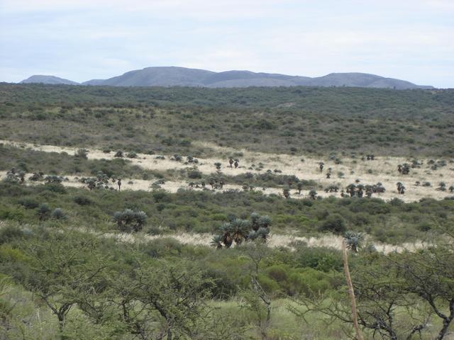 View to the ESE from the confluence to the Cerro Colorado