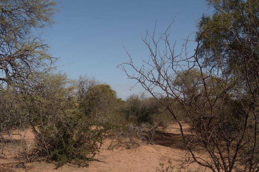 Vista hacia el Oeste - View to the West