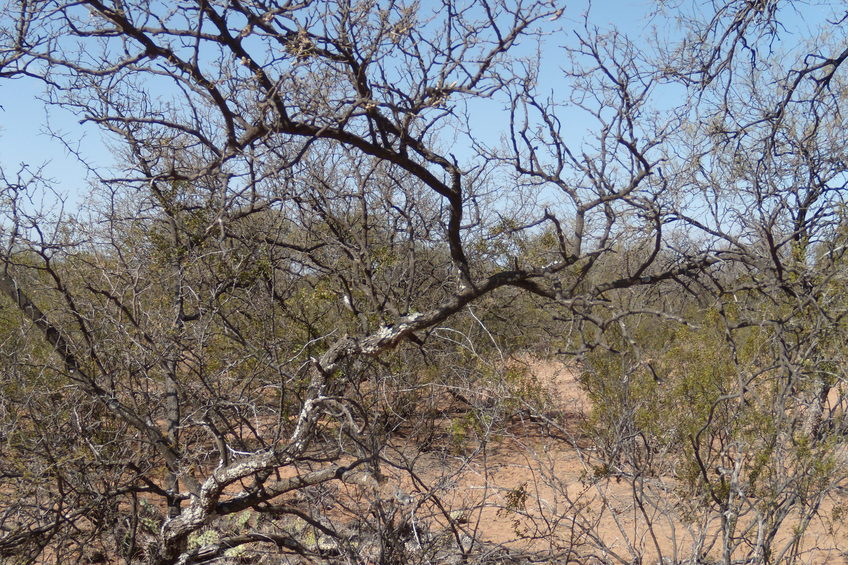 Vista hacia el Sur - View to the South