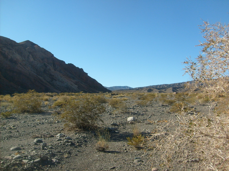 Vista al Norte. North view