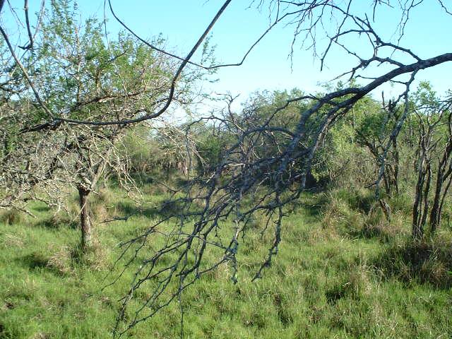 View to the South