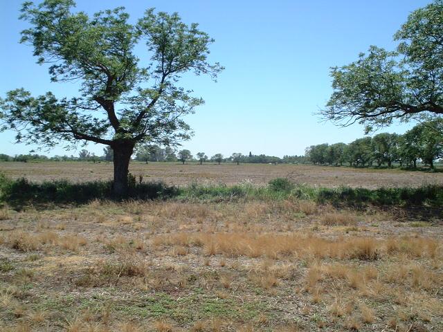 View to the North