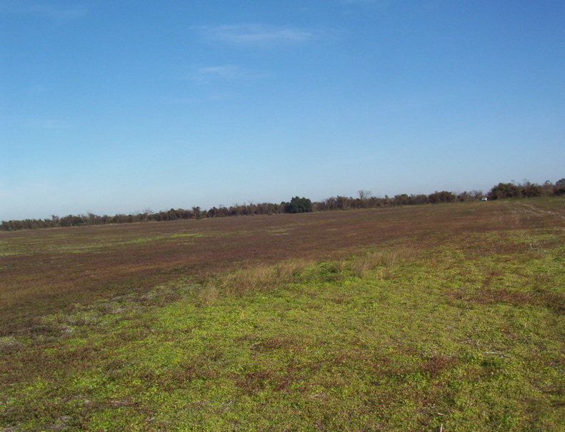 Vista Oeste. West view