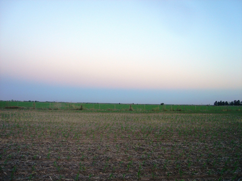 Vista hacia el Este - View to the East