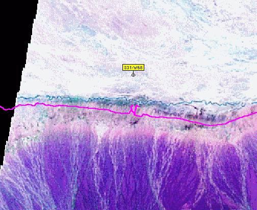 Foto satelital con el track recorrido y el río que se interpuso.