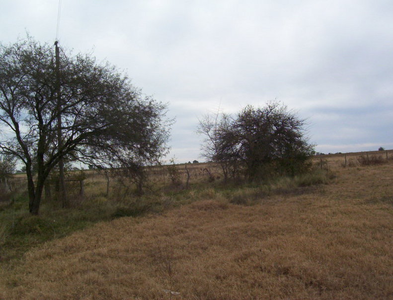 Vista Norte. North view