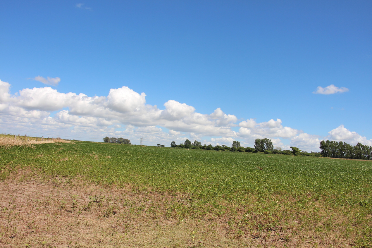 Vista Oeste. West view