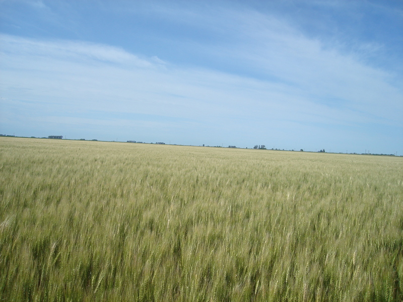 Vista hacia el Sur - View to the South