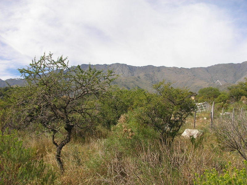 Vista Este hacia cerro Champaquí.