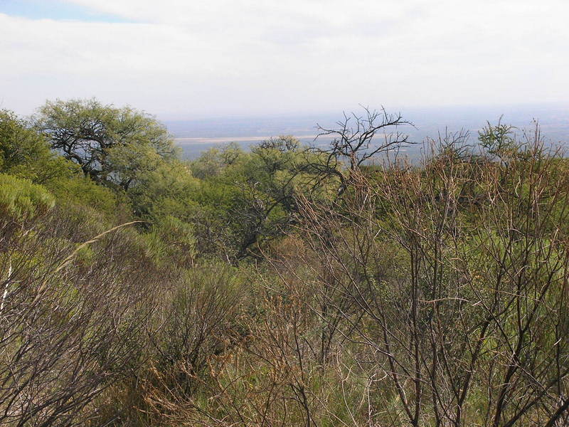 Vista Oeste hacia valle de Conlara.