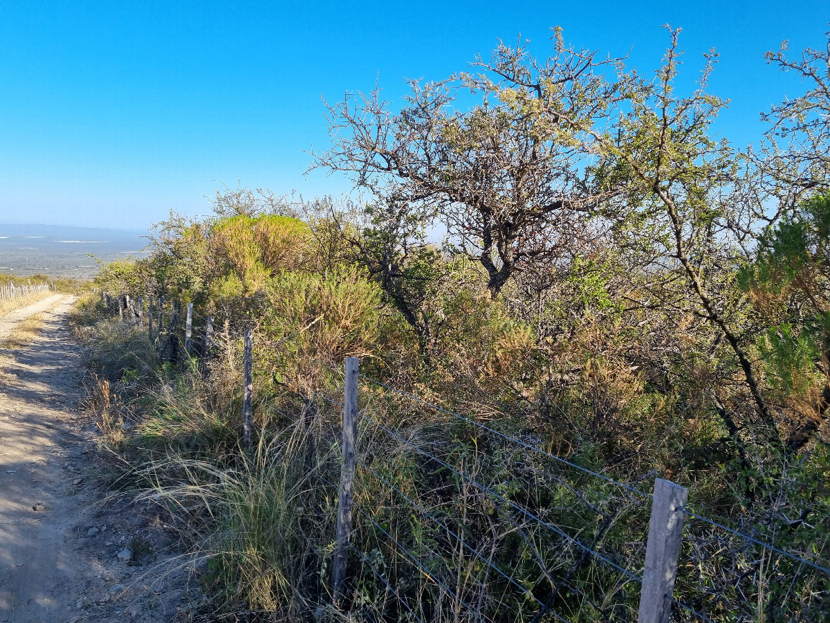 Vista hacia el oeste - View toward the west