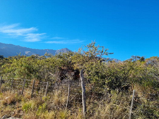 #1: Vista hacia el este - View toward the east