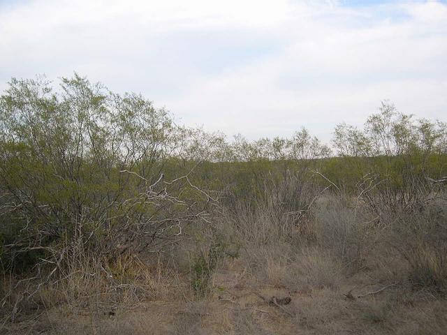 Vista hacia el Oeste (West)