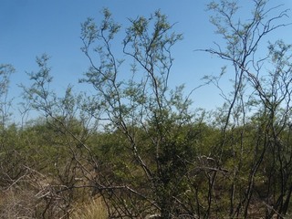 #1: Vista hacia el Norte - View to the North