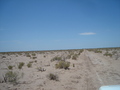 #8: Camino cerca de la confluencia - Track near of the confluence