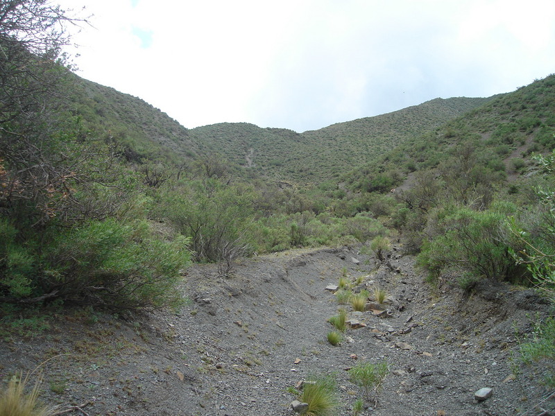 Vista hacia el Norte - View to the North